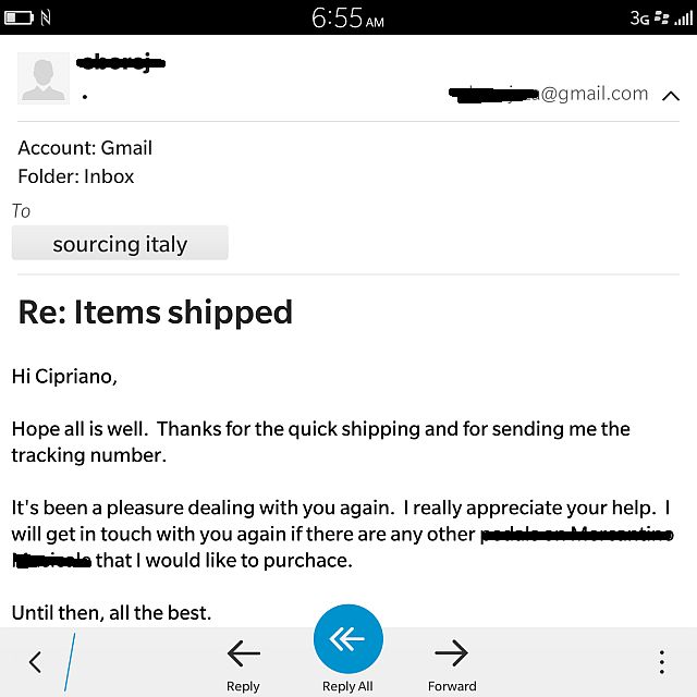 Sourcingitaly Opinions (17)